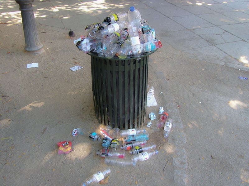 Sustainable Crafting Image